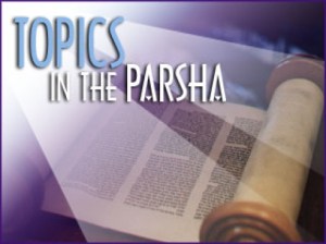 img_202_700_360_09_17_2007_09_23_46_512_384